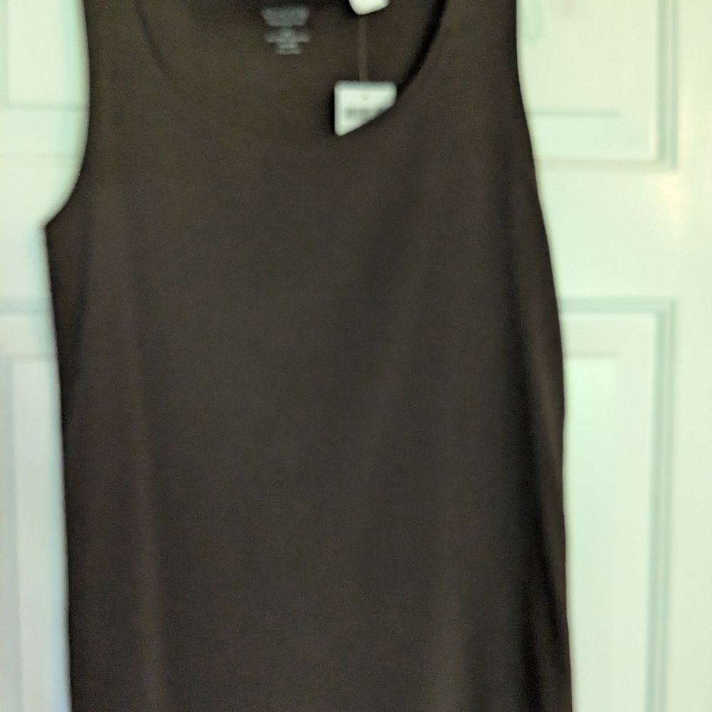 Chico's Brown Sleeveless Tank Top